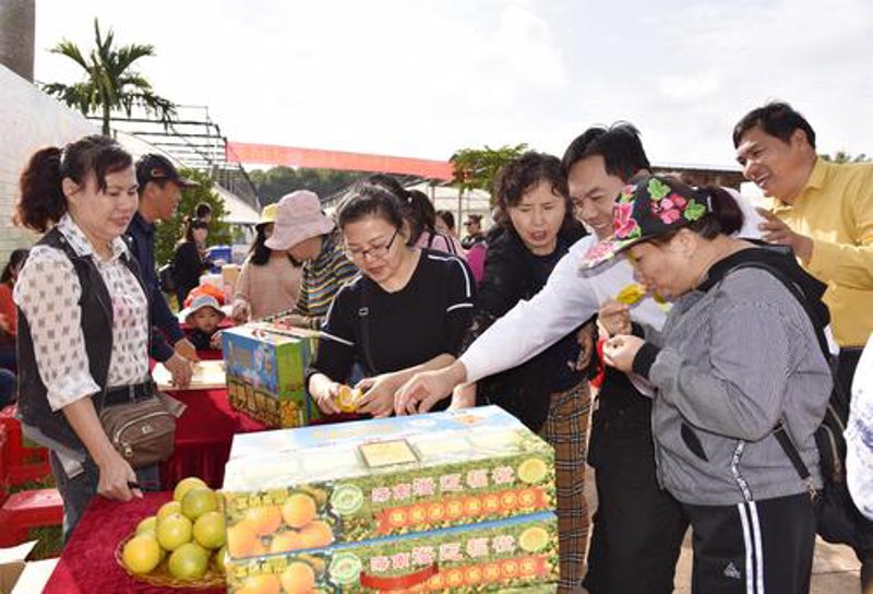 海南果蔬选购全攻略：轻松买到新鲜优质蔬果